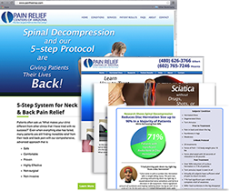 Spinal Decompression Website Plus 3 Condition Specific Mini Sites